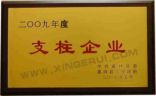嘉祥支柱企業