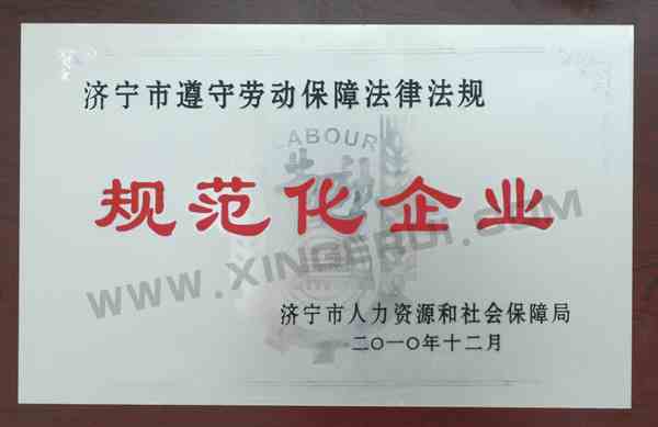 規范化企業