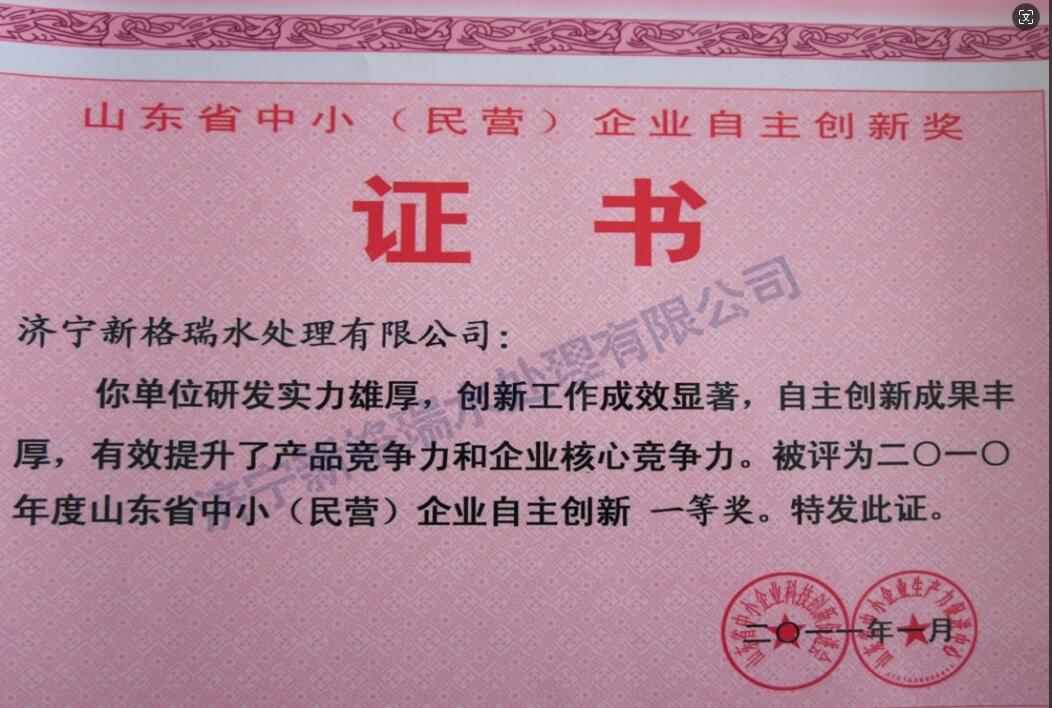山東省中?。駹I）企業自主創新一等獎